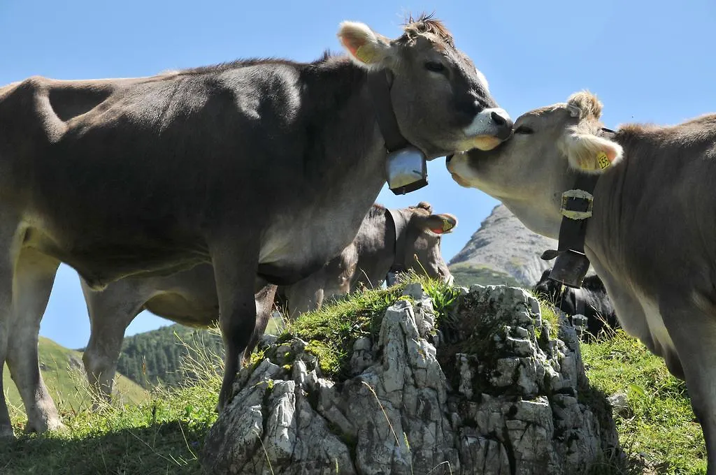 Landhotel Berghof Bad Hindelang Tyskland