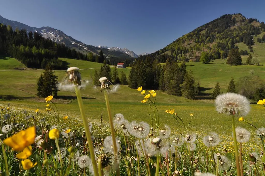 Hotel Landhotel Berghof Bad Hindelang